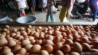 Jelang Natal dan Tahun Baru, Harga Telur Ayam Merangkak Naik