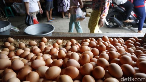 Jelang Natal dan Tahun Baru, Harga Telur Ayam Merangkak Naik