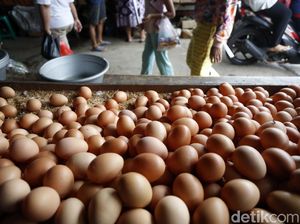 Jelang Natal dan Tahun Baru, Harga Telur Ayam Merangkak Naik