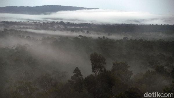 Keindahan Panorama di Perbatasan Aruk