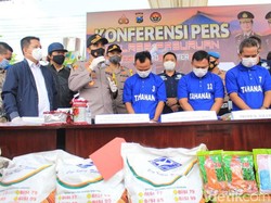 Sindikat Pemalsu Merek Benih Jagung Dibongkar, Korban Rugi Rp 5 Miliar