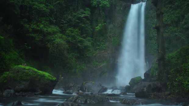 Air Terjun Gitgit di Bali Photo of the beauty of Gitgit Waterfall, Balis highest waterfall.