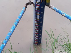 Debit Bengawan Solo di Bojonegoro Naik dan Masuk Level Siaga Hijau