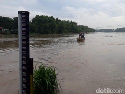 Curah Hujan Tinggi di Bojonegoro, Debit Air Sungai Bengawan Solo Naik