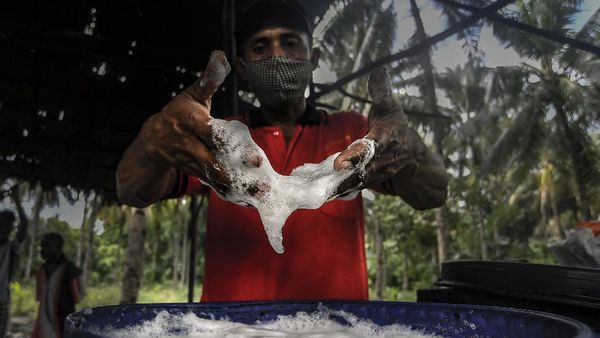 Geliat Perajin Sopi di Maluku