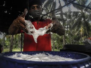 Geliat Perajin Sopi di Maluku