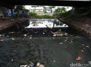 Jorok! Bantaran Kali di Kolong Jembatan Tol Jati Warna Penuh Sampah