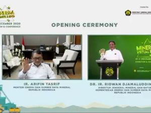 Dirjen Minerba: Pertambangan Berperan Penting dalam Ekonomi