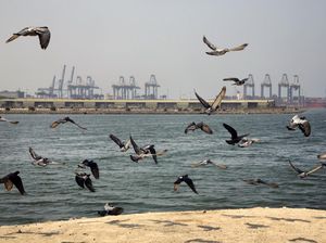 Ledakan Kembali Mengguncang Kapal Tanker di Lepas Pantai Arab Saudi Ledakan Kembali Mengguncang Kapal Tanker di Lepas Pantai Arab Saudi