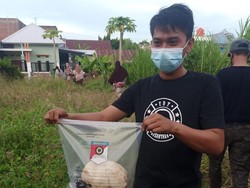 Pria di Sulsel Dikejutkan Tengkorak Manusia Saat Cari Rumput untuk Ternak