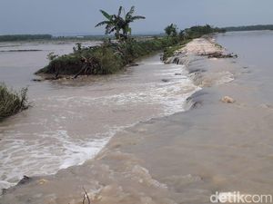 Tergerus Hujan, Tanggul di Dua Kecamatan Lamongan Jebol