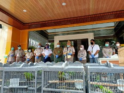 259 Burung Tanpa Dokumen dari Balikpapan Diamankan di Surabaya