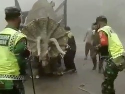 Hah, Ada Hewan Raksasa Ngamuk Sampai-sampai TNI Turun Tangan?
