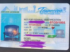 Kocak Abis! Foto SIM Wanita Ini di Luar Dugaan, Nggak Ada Gambar Wajahnya