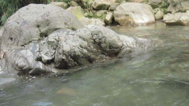 Jembatan Kayu Curug Cibeureum