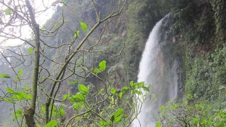 Jembatan Kayu Curug Cibeureum Jembatan Kayu Curug Cibeureum