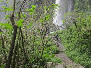 Serunya Trekking di Jembatan Kayu Curug Cibeureum