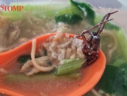 Iyuhh! Pria Ini Temukan Kecoak dalam Mie yang Lagi Dimakan