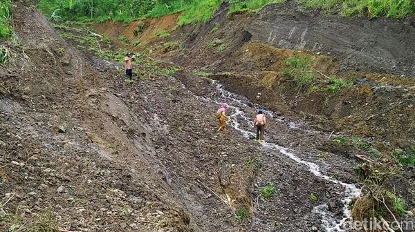 Penampakan Areal Pertanian Amblas Akibat Tanah Bergerak di Pekalongan Penampakan Areal Pertanian Amblas Akibat Tanah Bergerak di Pekalongan