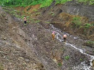 BPN: Penguasaan Tanah oleh PTPN Tak Ada Hubungan dengan HGU BPN: Penguasaan Tanah oleh PTPN Tak Ada Hubungan dengan HGU