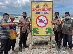 Warga Dilarang Renang di Teluk Palu Usai Pria Diserang Buaya Saat Terapi