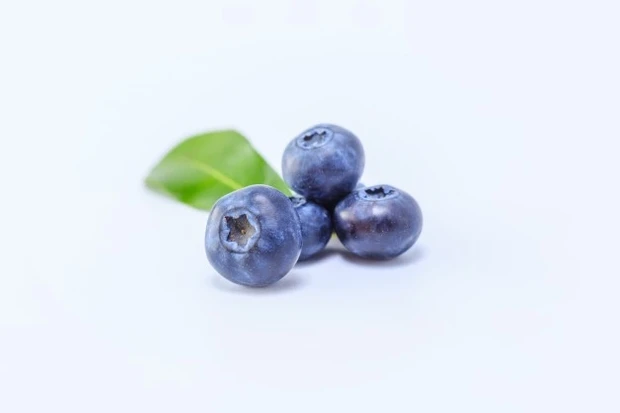 foto: freepik.com blueberry