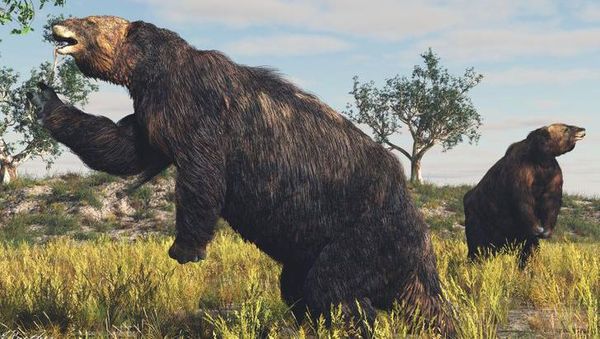 10 Hewan Punah yang Ingin Dihidupkan Kembali oleh Ilmuwan