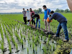 Jebakan Tikus Listrik di Ngawi Kembali Renggut Nyawa Tuannya