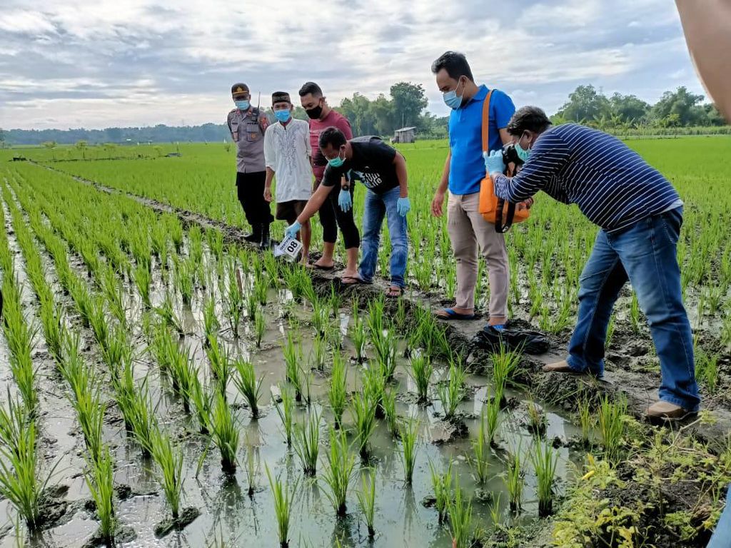Jebakan Tikus Listrik di Ngawi Kembali Renggut Nyawa Tuannya Jebakan Tikus Listrik di Ngawi Kembali Renggut Nyawa Tuannya