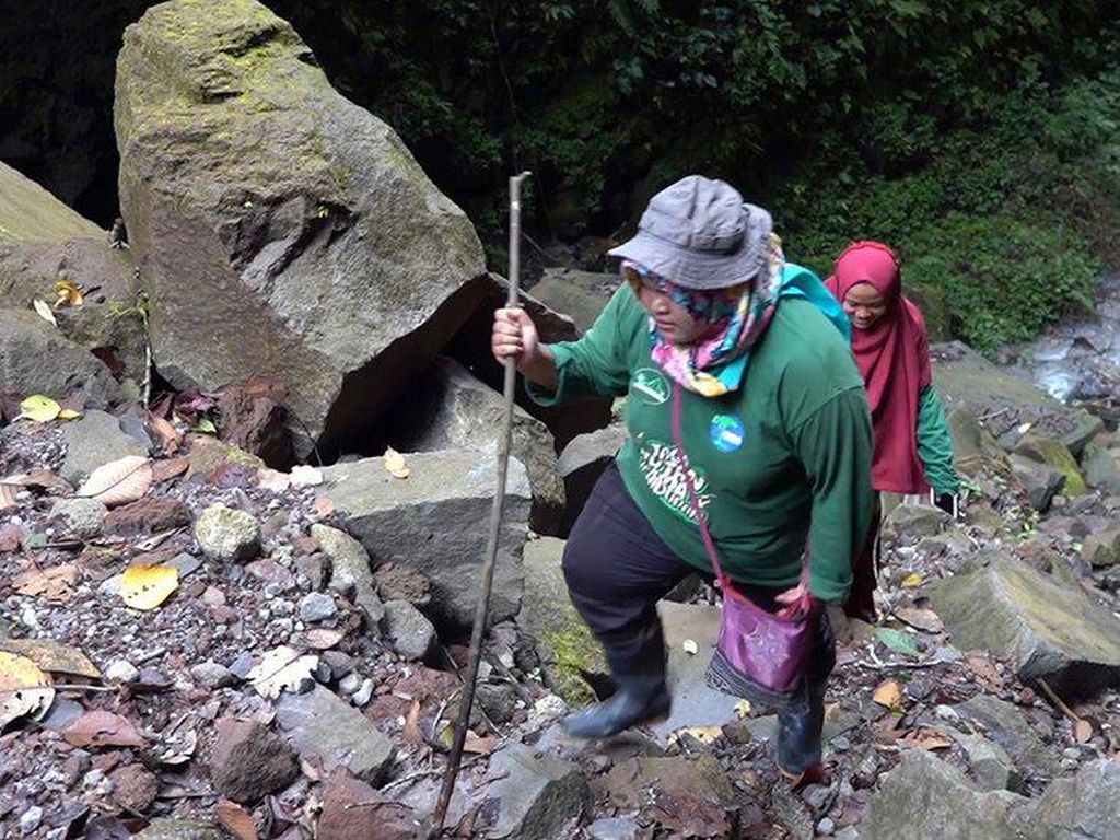 Kisah Para Perempuan Penjaga Hutan Aceh Kisah Para Perempuan Penjaga Hutan Aceh