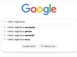 Pertanyaan Paling Kocak yang Dicari Orang di Google