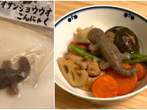 Hiii! Bentuk Jelly Ini Persis Cicak Hidup, Mau Coba?