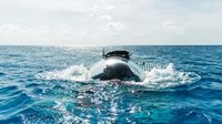 Foto: Kapal Selam Transparan, Mampu Menyelam hingga Kedalaman 1.000 Meter