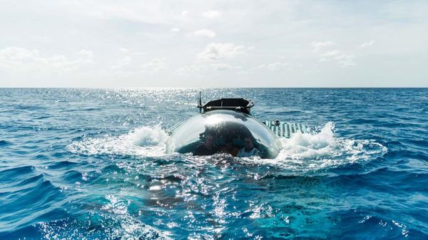 Foto: Kapal Selam Transparan, Mampu Menyelam hingga Kedalaman 1.000 Meter