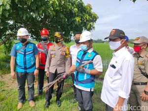 Petani Ngawi Nekat Pasang Jebakan Tikus Listrik, Polisi Putus Jaringan PLN