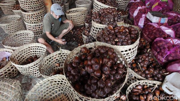 Foto: Manisnya Salak Pondoh Makin Eksis