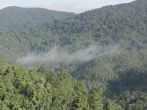 Untung Buntung Hutan Lindung di Perbatasan Aruk