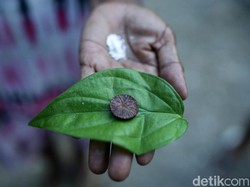 Pinang, Sirih, dan Tenun Tanda Selamat Datang di Malaka Perbatasan RI dan Timor Leste