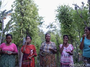 5 Perbedaan Sanksi Kebiasaan dan Adat Istiadat, Apa Saja?