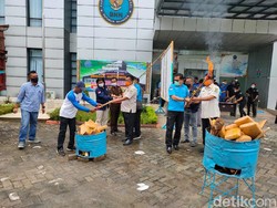 BNN Banten Musnahkan Puluhan Kilogram Ganja