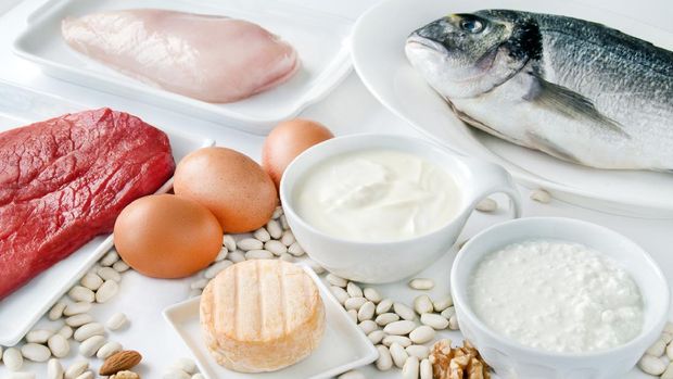 Food rich in protein close up