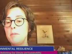 Jadikan Kota Nol Karbon Lewat Inovasi Interstitial, Apa Itu?