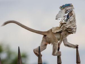 Karya Menawan Jawara Kontes Foto Alam Karya Menawan Jawara Kontes Foto Alam