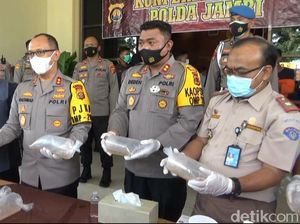 Polisi Gagalkan Penyelundupan 40 Ribu Benih Lobster di Jambi, 3 Orang Diamankan