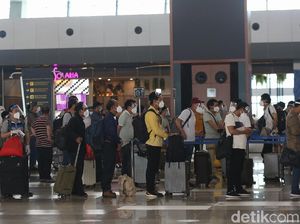 Karantina PPLN Bakal Dipangkas Jadi 3 Hari, Ini Alasannya Karantina PPLN Bakal Dipangkas Jadi 3 Hari, Ini Alasannya