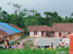 Duh, Ada Pengungsi Merapi di Klaten yang Pulang Bawa Ternaknya