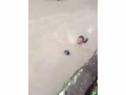 Video Heroik! Pria di Surabaya Selamatkan Bocah Hanyut di Sungai