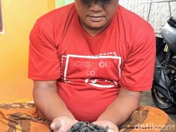 Warga Bondowoso Temukan Kepingan Logam Kuno di Persawahan