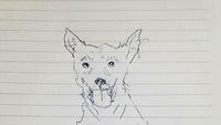 Ketika Mereka Ditantang Melukis Anjing dengan Tangan Nondominan