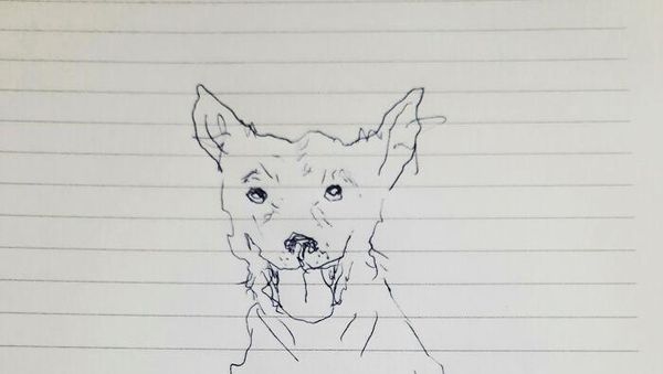 Ketika Mereka Ditantang Melukis Anjing dengan Tangan Nondominan